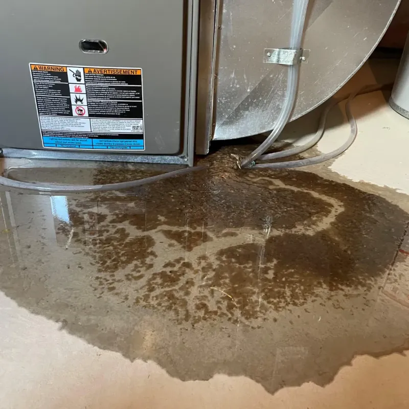 Appliance Leak Cleanup in Port Saint John, FL